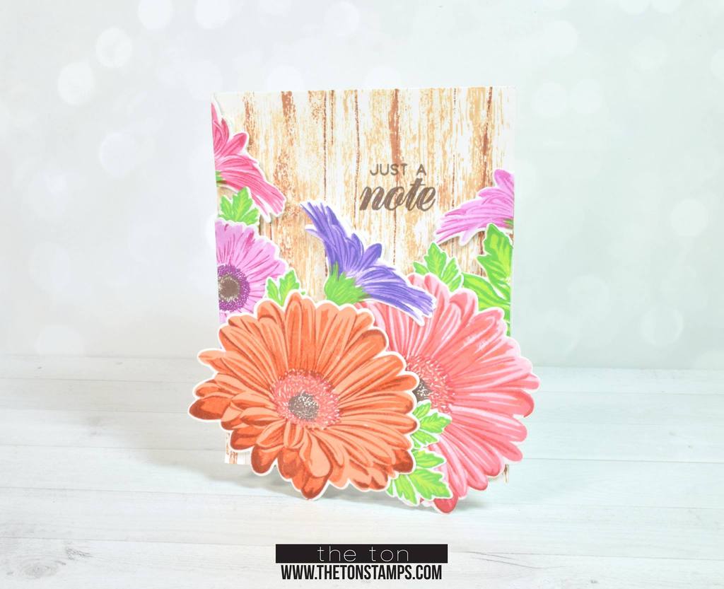 Large Florals - Daisy The Ton Clear Stamps