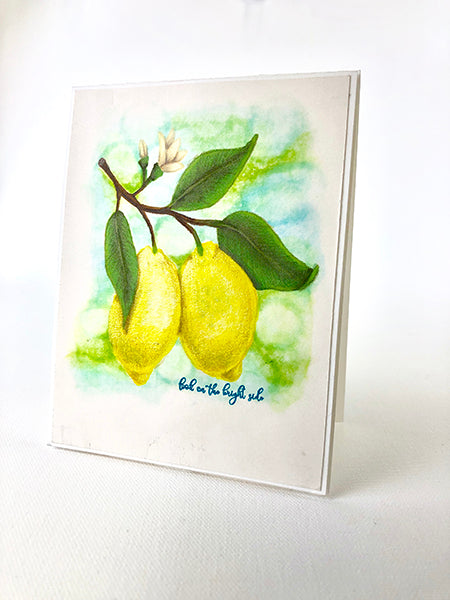 Picket Fence Studios Paper Glaze - Daffodil Yellow 2oz