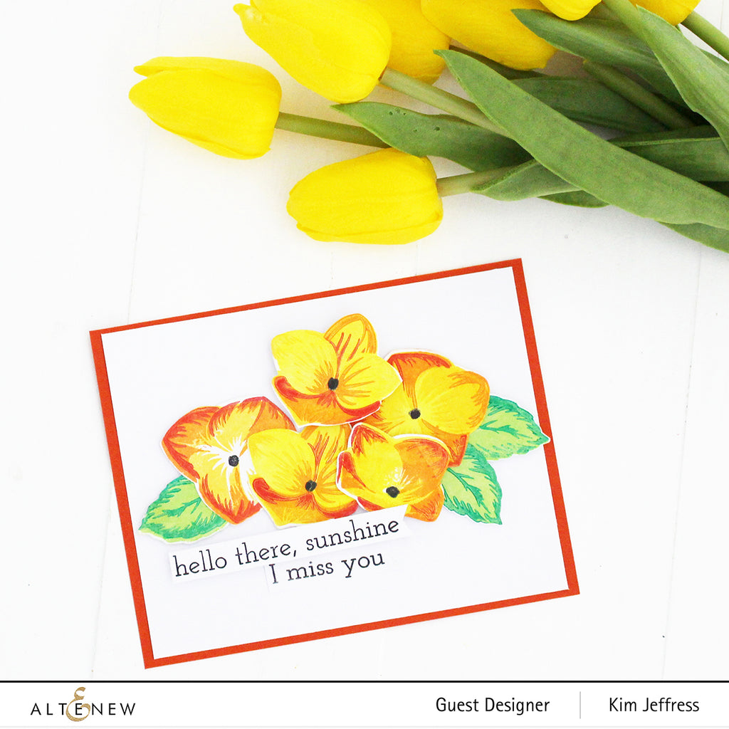 Basic Blooms Stamp Set