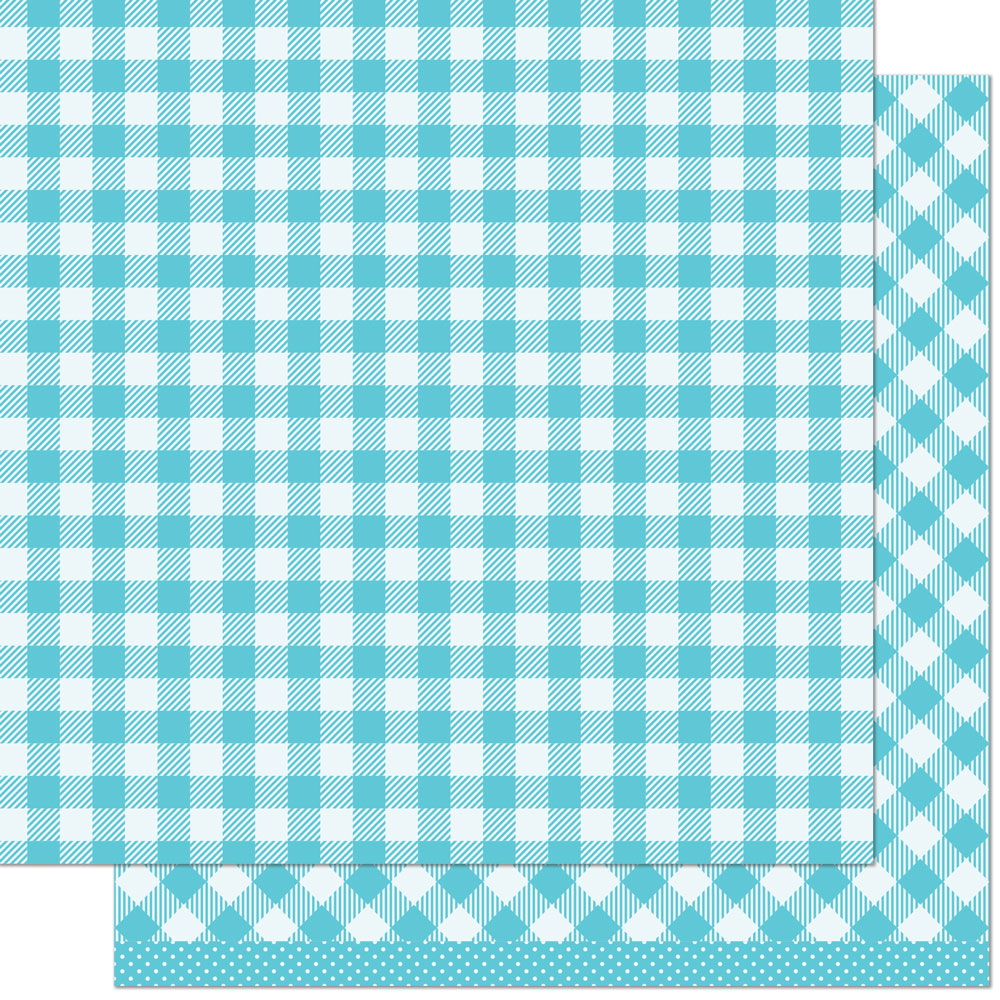 Gotta Have Gingham Rainbow Petite Paper Pack 6"x6" - Lawn Fawn