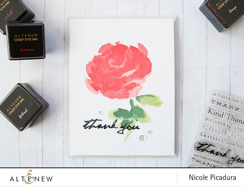Painted Rose and Floral Ink Bundle