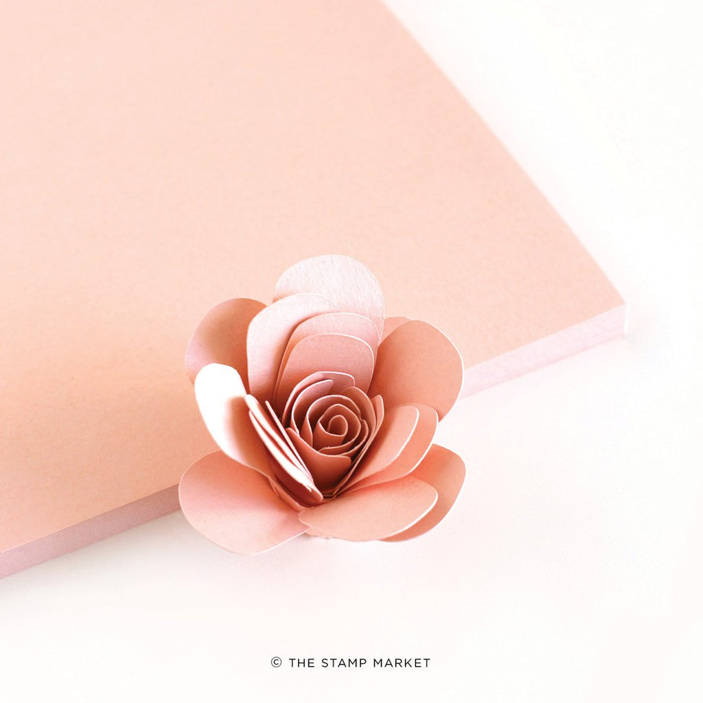 Blush Pink Color Crush Cardstock - The Stamp Market