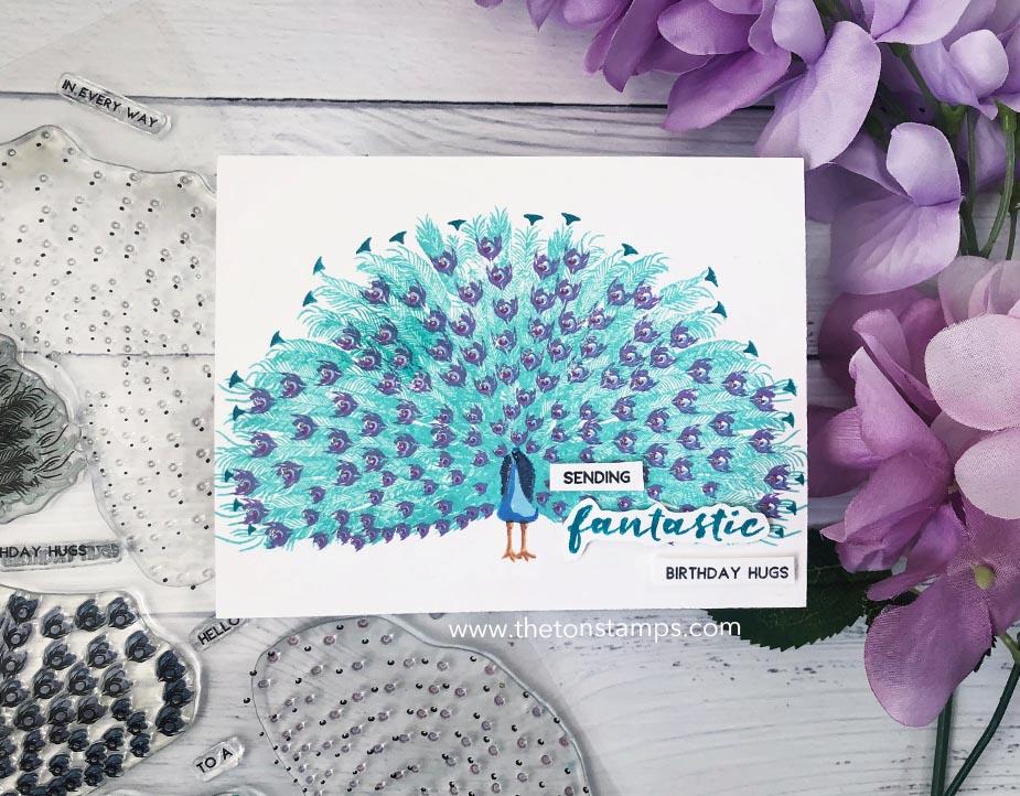 Fantastic Feathers - The Ton Clear Stamps