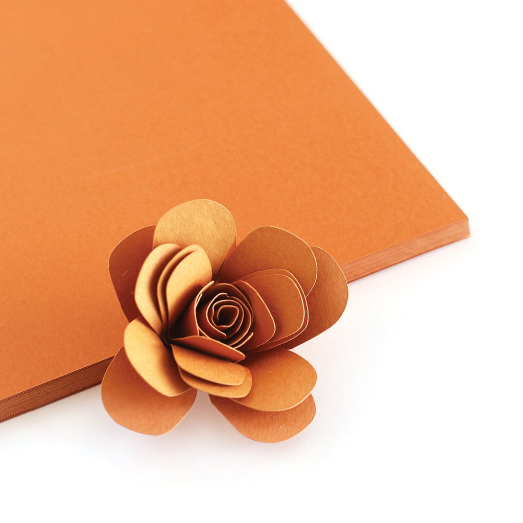 Rusty Color Crush Cardstock - The Stamp Market