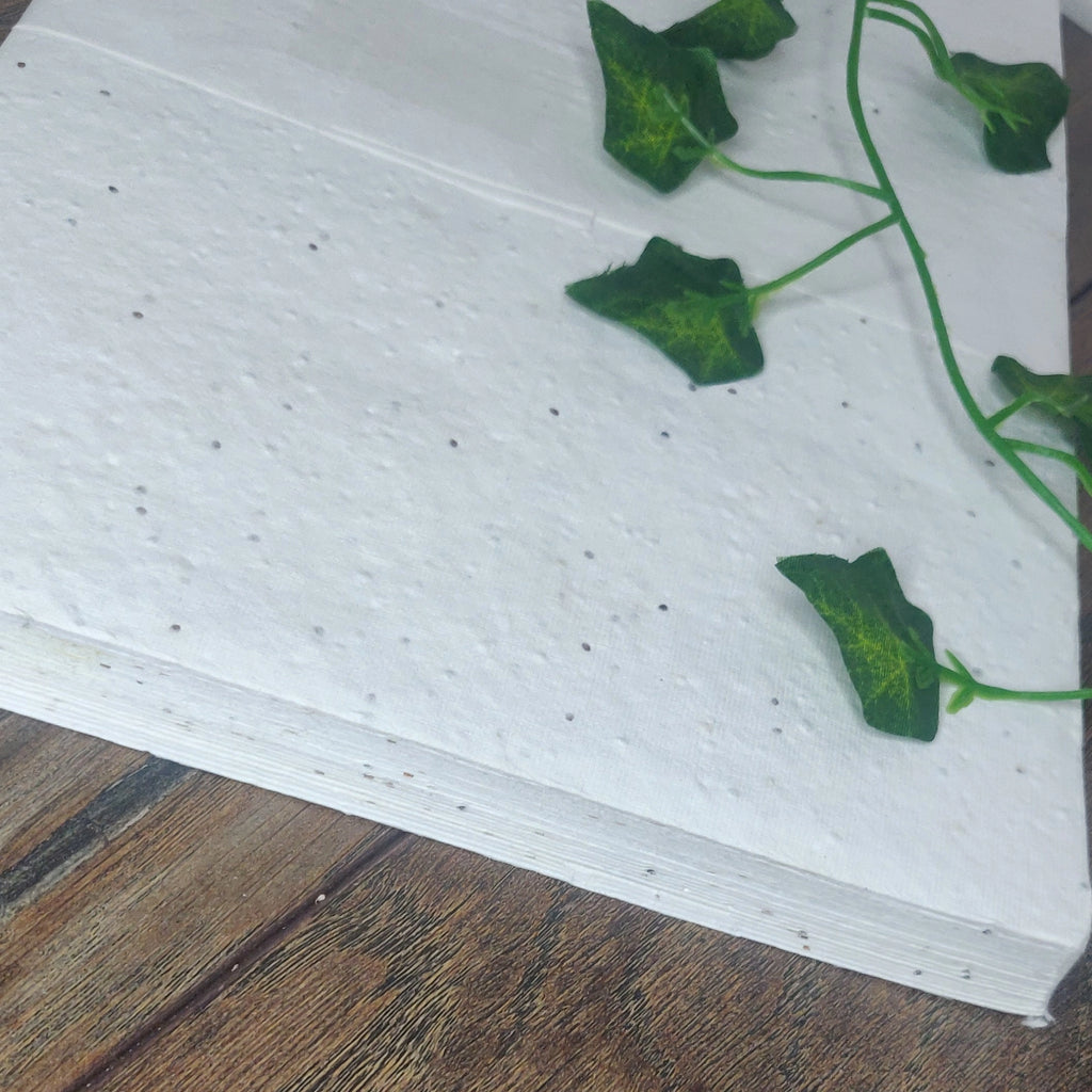 Wildflower Seed Paper - 200gsm
